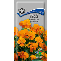 ������ ������ ������ ������� ������������ ���������   ����