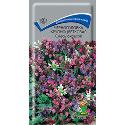 ������ ������ ������������ ��������������� ����� �������   ����