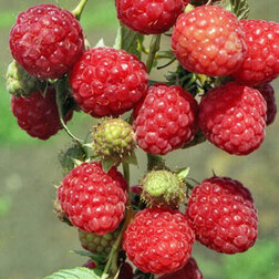 ������ ������ ������ ����������   ����