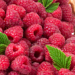 ������ ������ ������ ������   ����