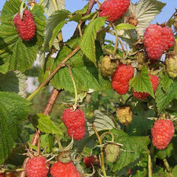 ������ ������ ������ �������   ����