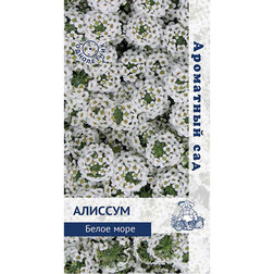 ������ ������ ������� ����� ���� (��������� ���)   ����