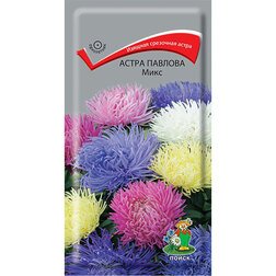 ������ ������ ����� ������� ����   ����