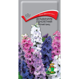 ������ ������ ���������� ���������� ������ �����   ����