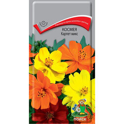 ������ ������ ������ ������ ����   ����