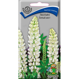 ������ ������ ����� ����� ����   ����