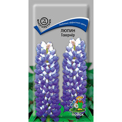 ������ ������ ����� ��������   ����