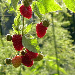 ������ ������ ������� ������ ������������ ��� �����   ����