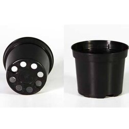 ������ ������ ������ MZ D22 Forma (������) 5�   ����