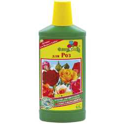 ������ ������ ������������ ��������� ��������� ��� ��� (0,5�.)   ����