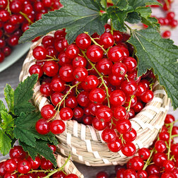 ������ ������ ��������� ������� ��������� ���������   ����