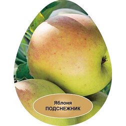 ������ ������ ������ ���������� ����������   ����