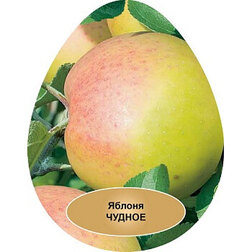 ������ ������ ������ ���������� ������   ����