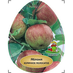 ������ ������ ������ �������� ���������   ����