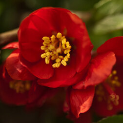 ������ ������ ���� ������������ ������� ��� ����   ����