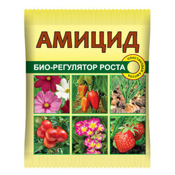 ������ ������ ������ (��������� �����,���������) 10�� ��   ����