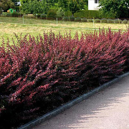 ������ ������ �������� �������� ������������   ����