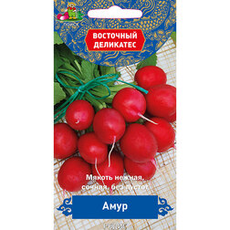 ������ ������ ����� ���� (��������� ���������)   ����