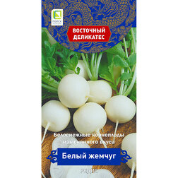 ������ ������ ����� ����� ������ (��������� ���������)   ����