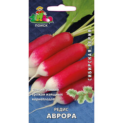 ������ ������ ����� ������ (��������� �����)   ����