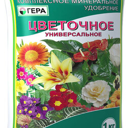 ������ ������ ���� ��������� ������������� (0,9��)   ����