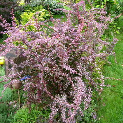 ������ ������ �������� �������� ��� ����   ����