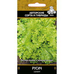 ������ ������ ����� �����   ����