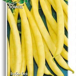 ������ ������ ������ ������� �������   ����