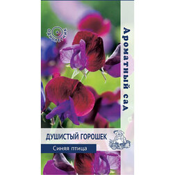 ������ ������ �������� ������� ����� ����� (��������� ���)   ����