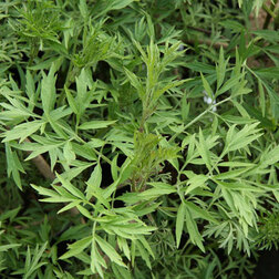 ������ ������ ������ ������ ���������   ����