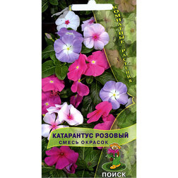 ������ ������ ���������� ������� ����� �������   ����