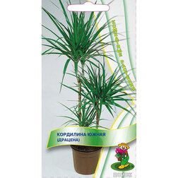 ������ ������ ��������� ����� (�������)   ����