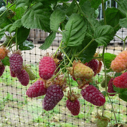 ������ ������ ��������� ����������   ����