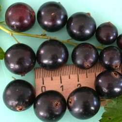 ������ ������ ��������� ������ ������   ����