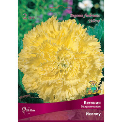 ������ ������ ������� ����������� ������ (2 ��.)   ����