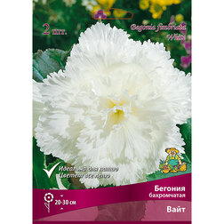 ������ ������ ������� ����������� ���� (2 ��.)   ����