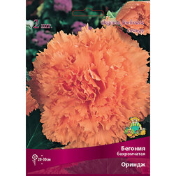 ������ ������ ������� ����������� ������   ����