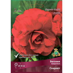 ������ ������ ������� �������� ������� (2 ��.)   ����