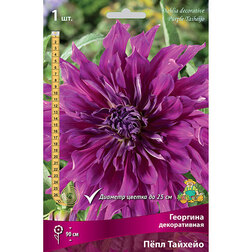 ������ ������ �������� ������������ ���� ������� (1 ��.)   ����