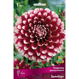 ������ ������ �������� ������������ ��������   ����