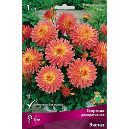 ������ ������ �������� ������������ ������   ����