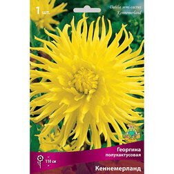 ������ ������ �������� �������������� ������������   ����