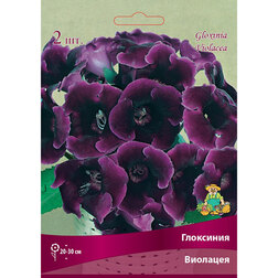 ������ ������ ��������� ��������   ����