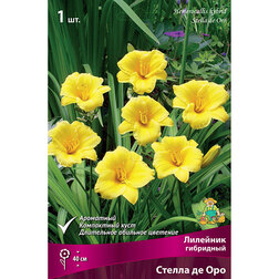 ������ ������ �������� ��������� ������ �� ���   ����