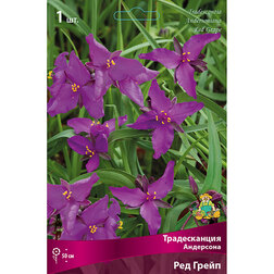 ������ ������ ������������ ��������� ��� �����   ����