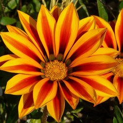 ������ ������ ������� ��� ��� ��� ������ (1��-100��) ���������������� ������   ����