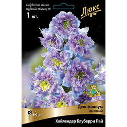 ������ ������ ���������� ������� ��������� �������� ���   ����