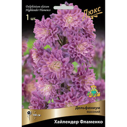 ������ ������ ���������� ������� ��������� ��������   ����