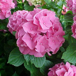 ������ ������ �������������� ��������� ����� ����   ����