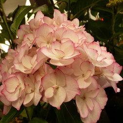 ������ ������ ��������� �������������� �������   ����